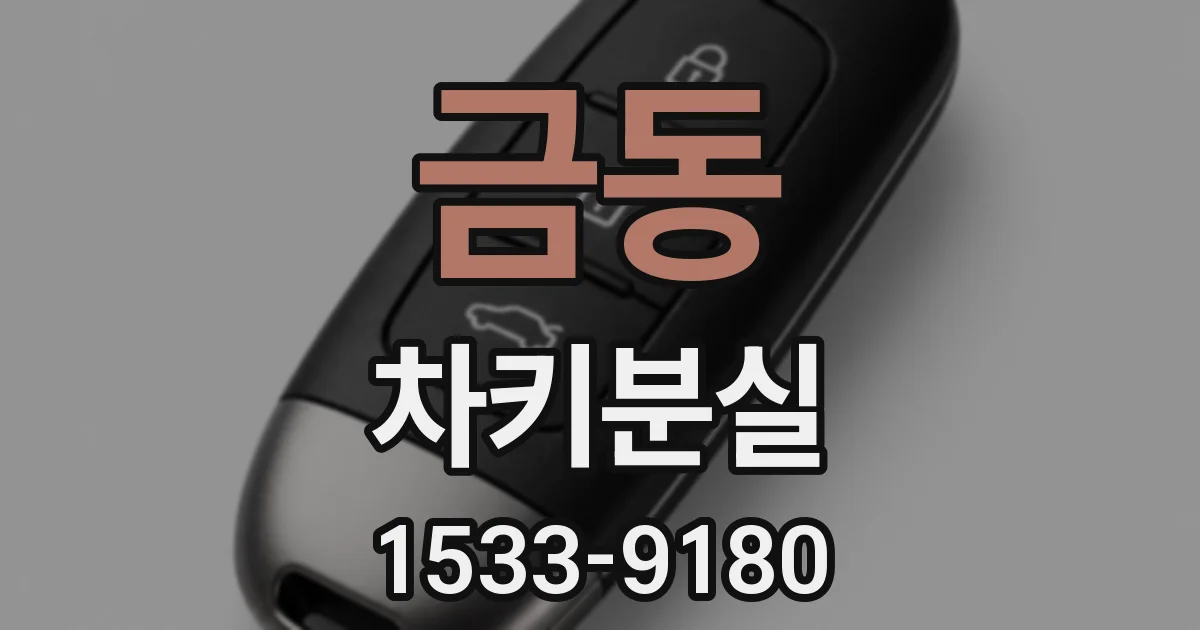 금동 차키분실