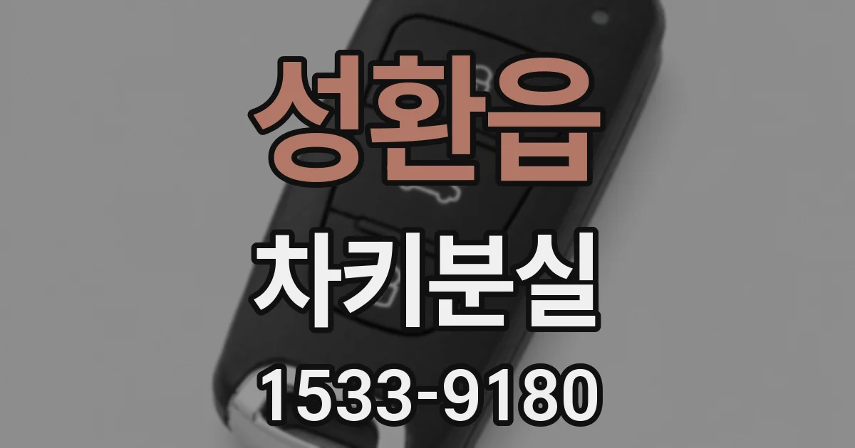 성환읍 차키분실