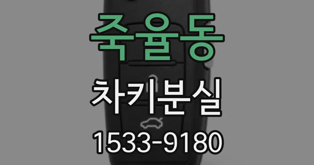 죽율동 차키분실
