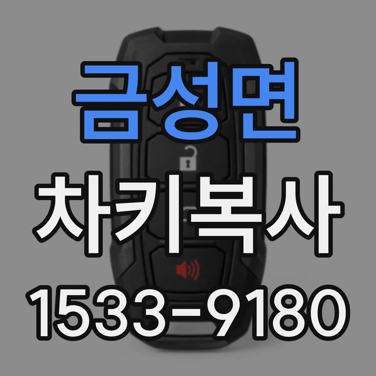 금성면 차키복사
