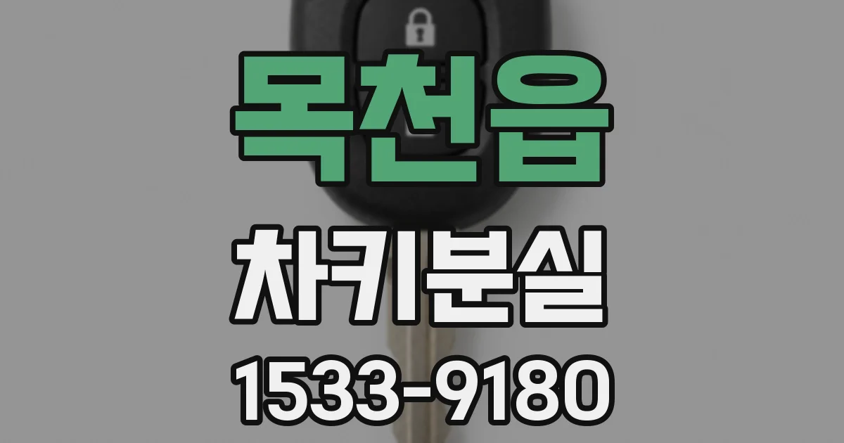 목천읍 차키분실