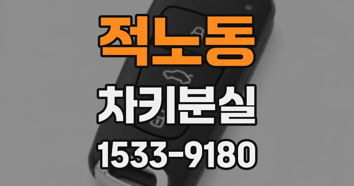적노동 차키분실