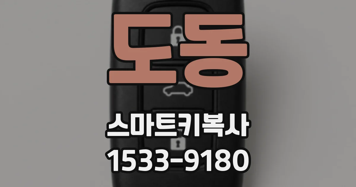 도동 스마트키복사