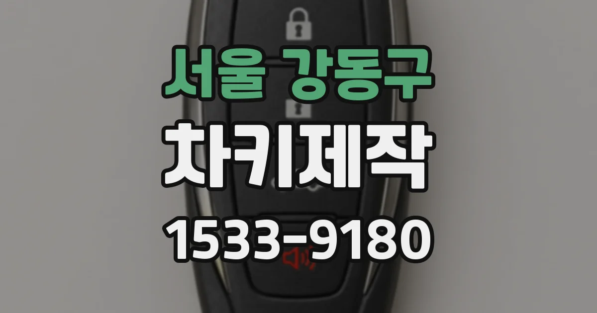 서울 강동구 차키제작