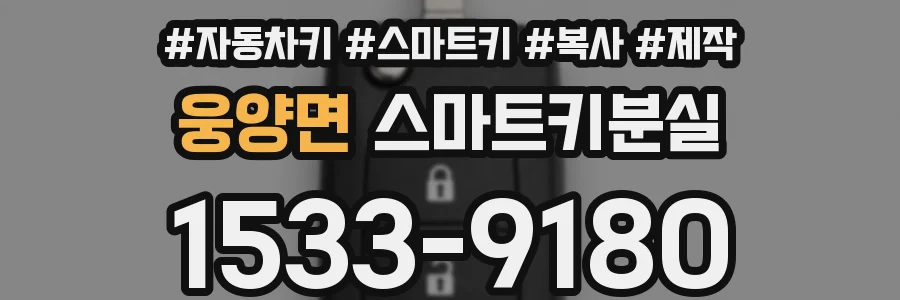 웅양면 스마트키분실