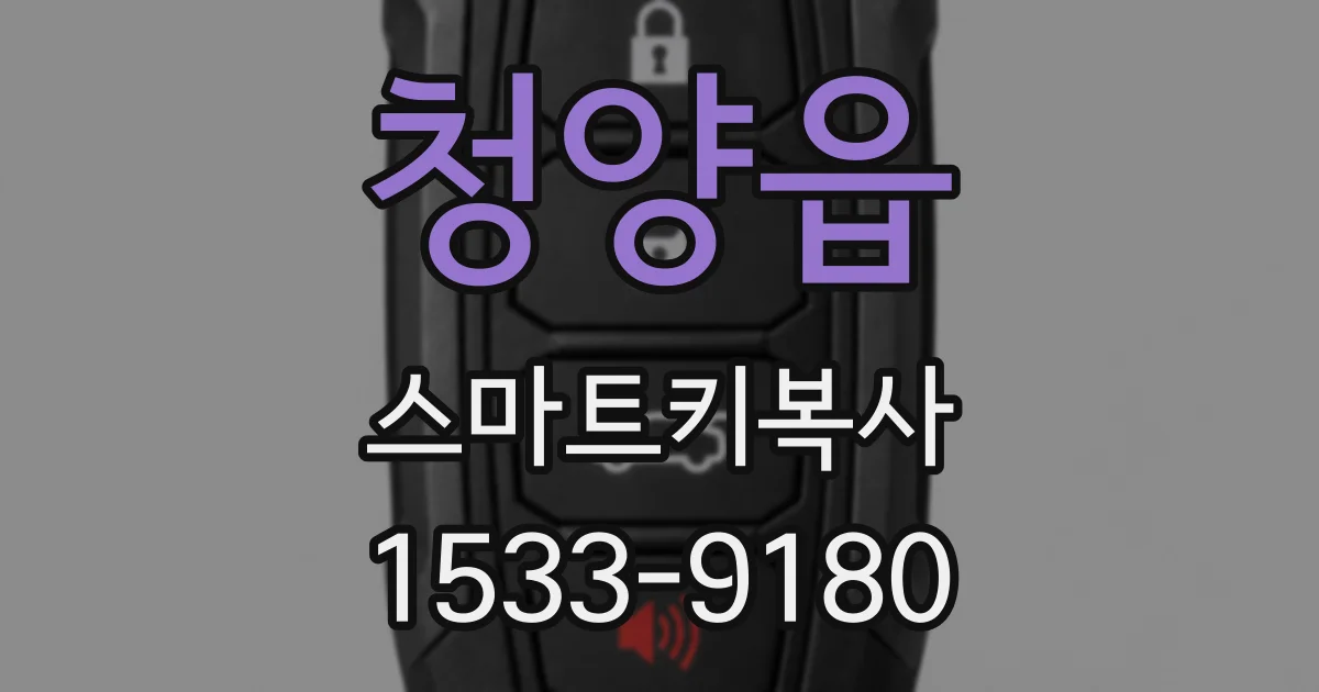 청양읍 스마트키복사