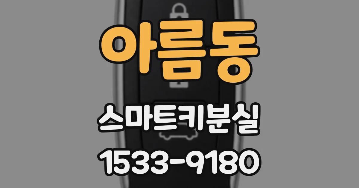 아름동 스마트키분실