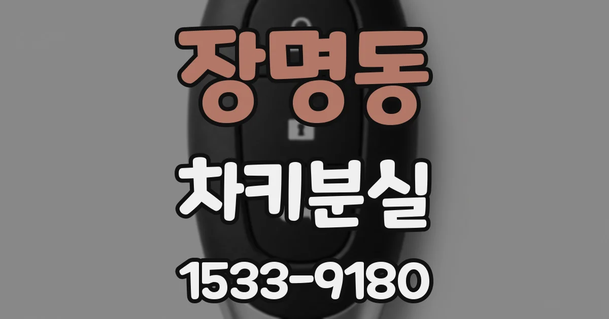 장명동 차키분실