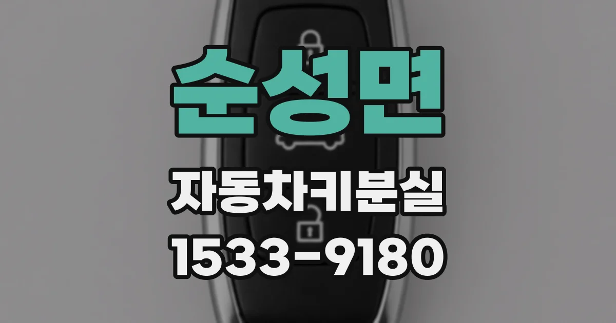 순성면 자동차키분실