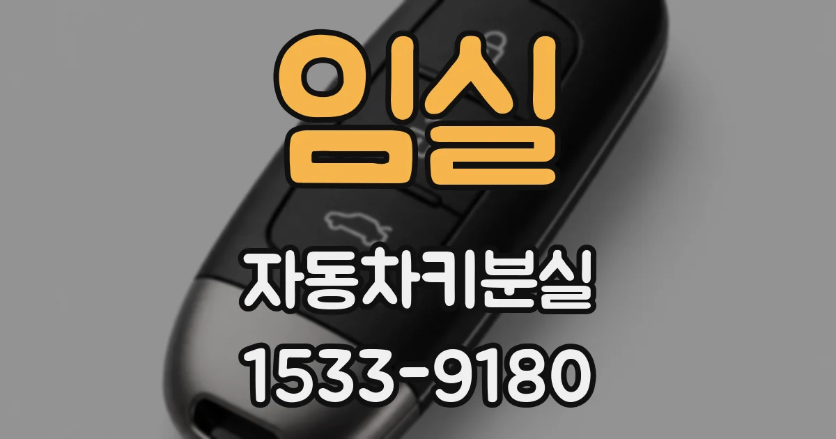 임실 자동차키분실