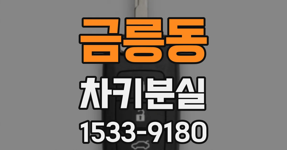 금릉동 차키분실