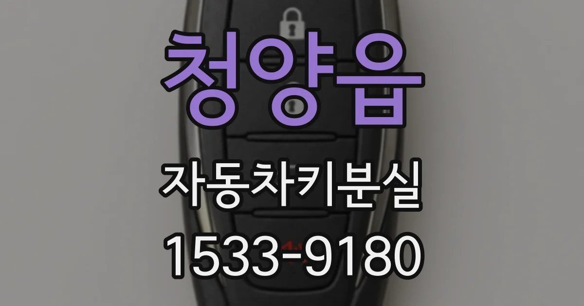 청양읍 자동차키분실