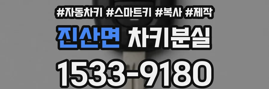 진산면 차키분실
