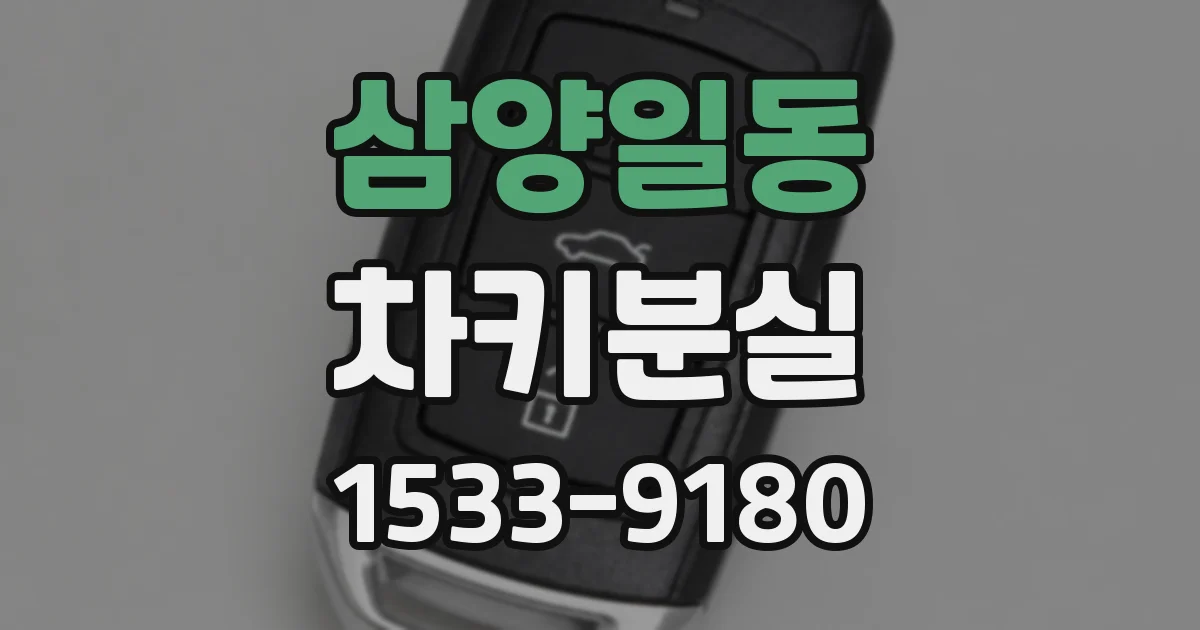 삼양일동 차키분실