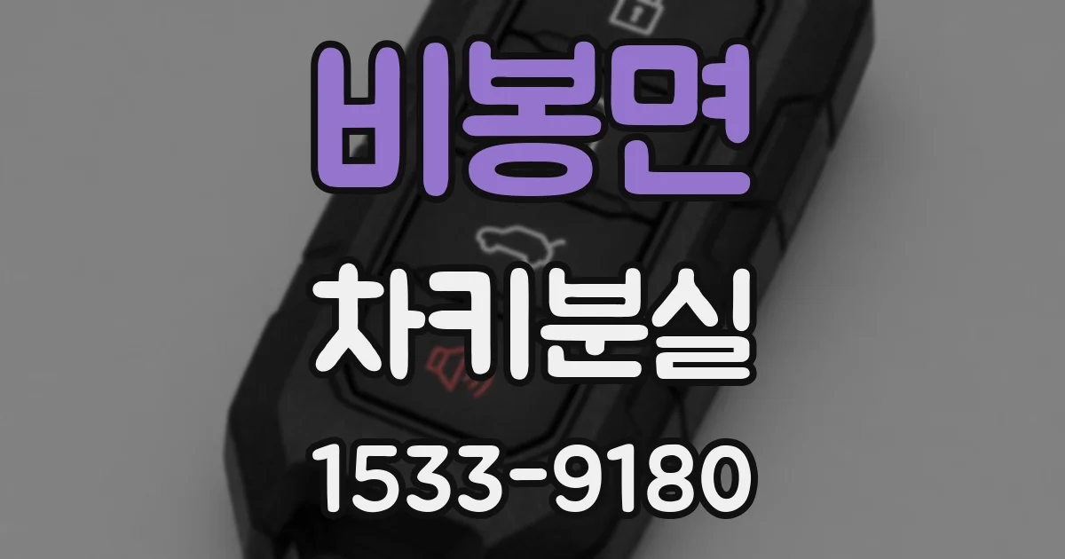 비봉면 차키분실