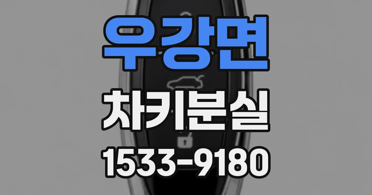 우강면 차키분실