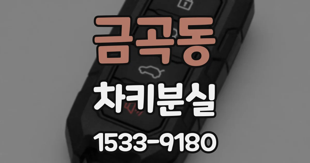 금곡동 차키분실