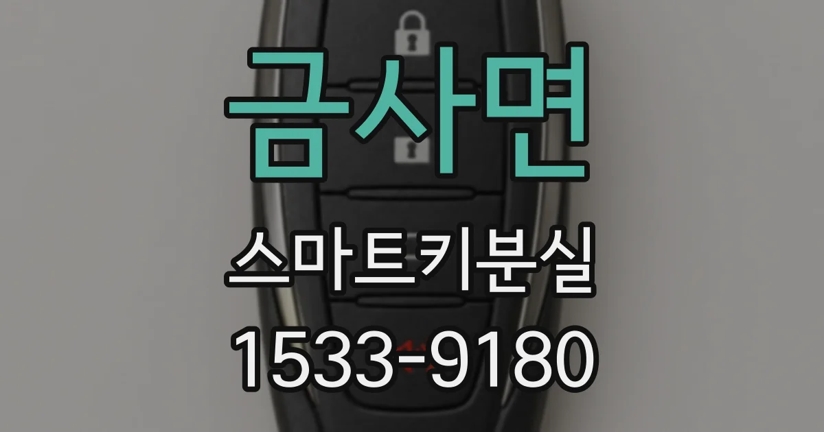 금사면 스마트키분실