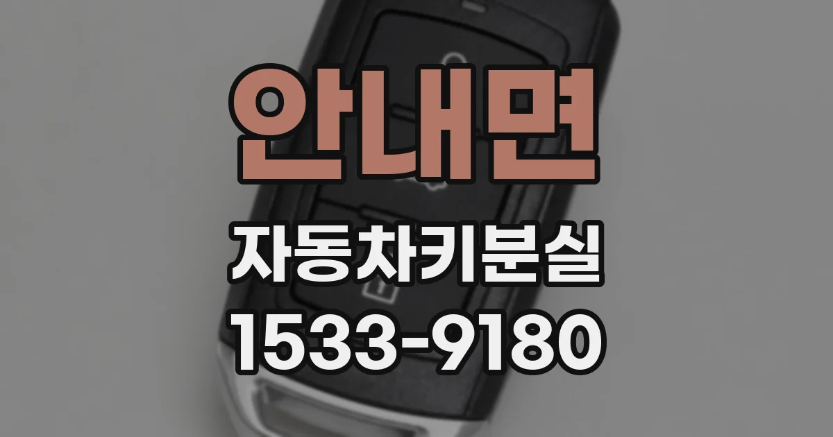 안내면 자동차키분실