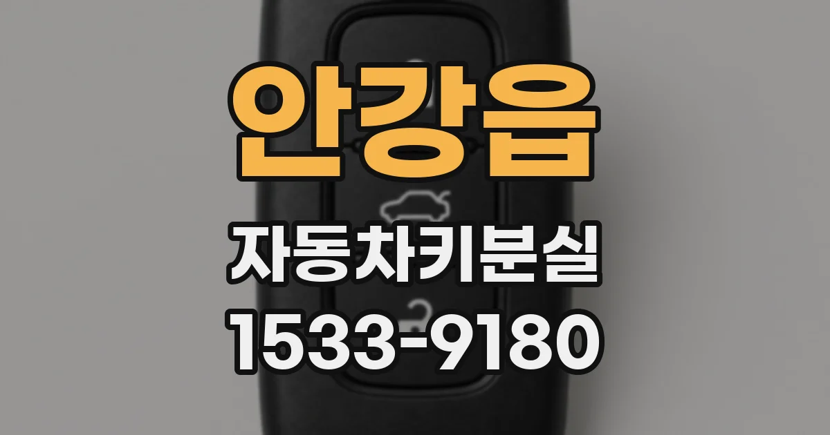 안강읍 자동차키분실