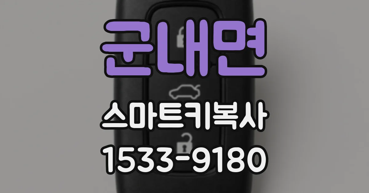 군내면 스마트키복사