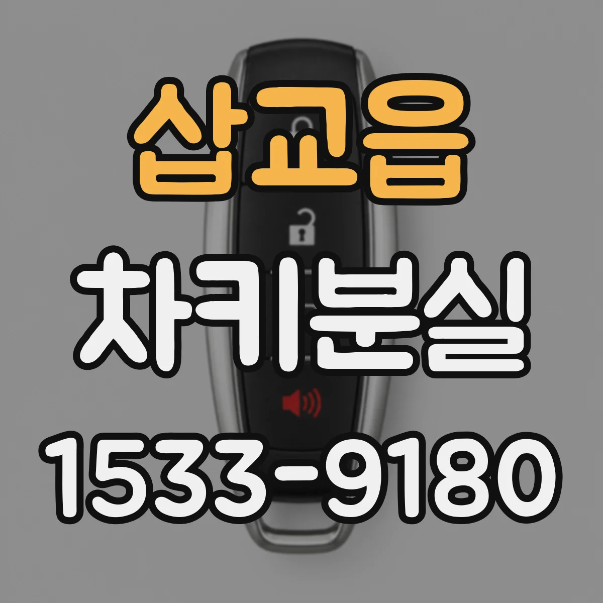 삽교읍 차키분실