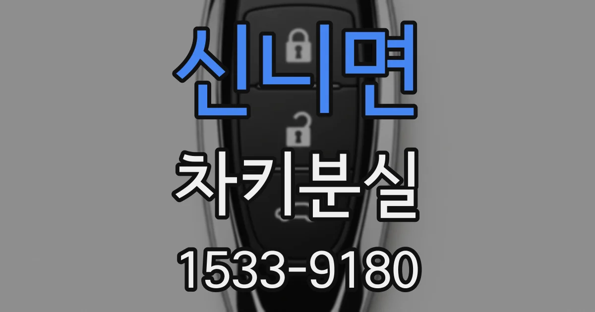 신니면 차키분실