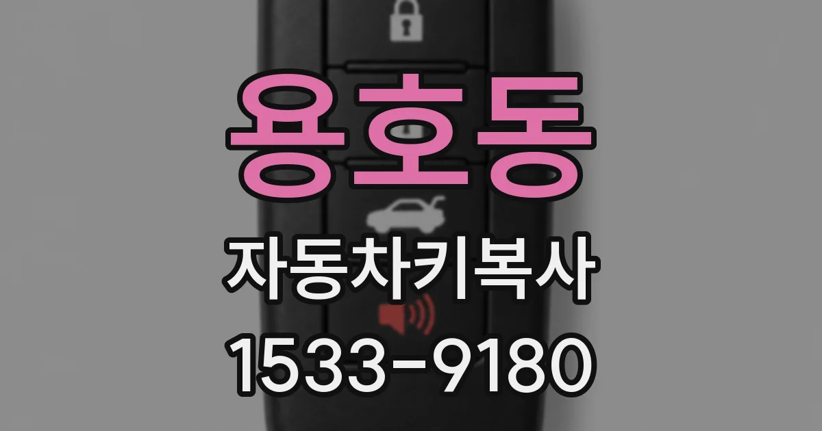 용호동 자동차키복사