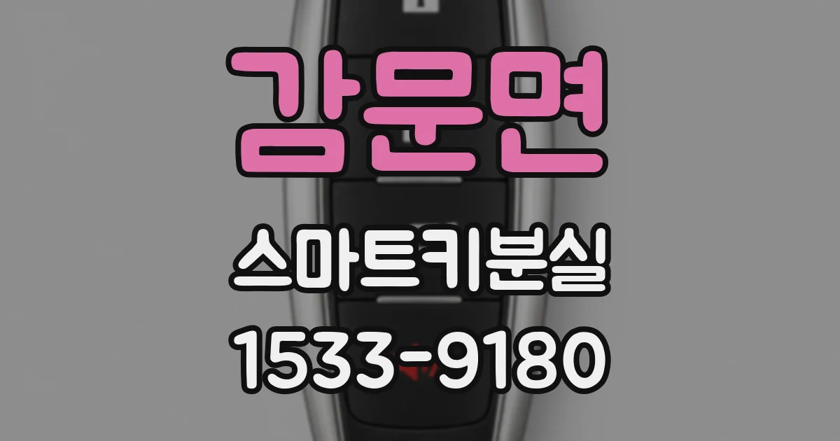 감문면 스마트키분실