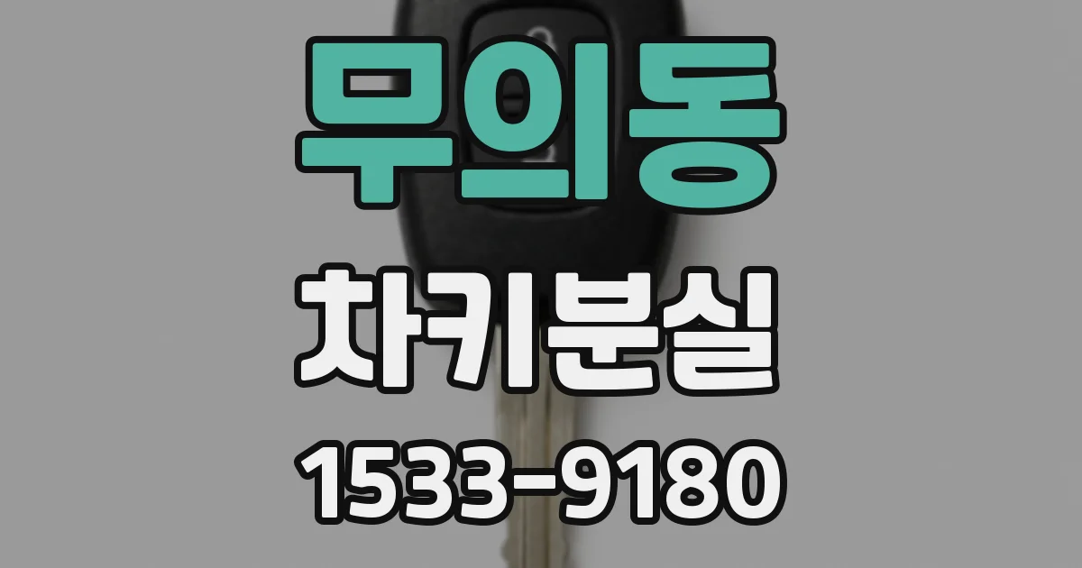 무의동 차키분실