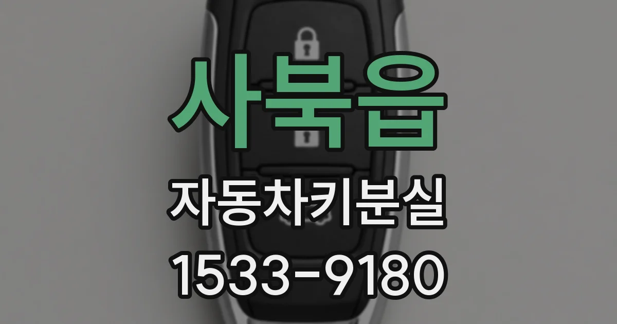 사북읍 자동차키분실