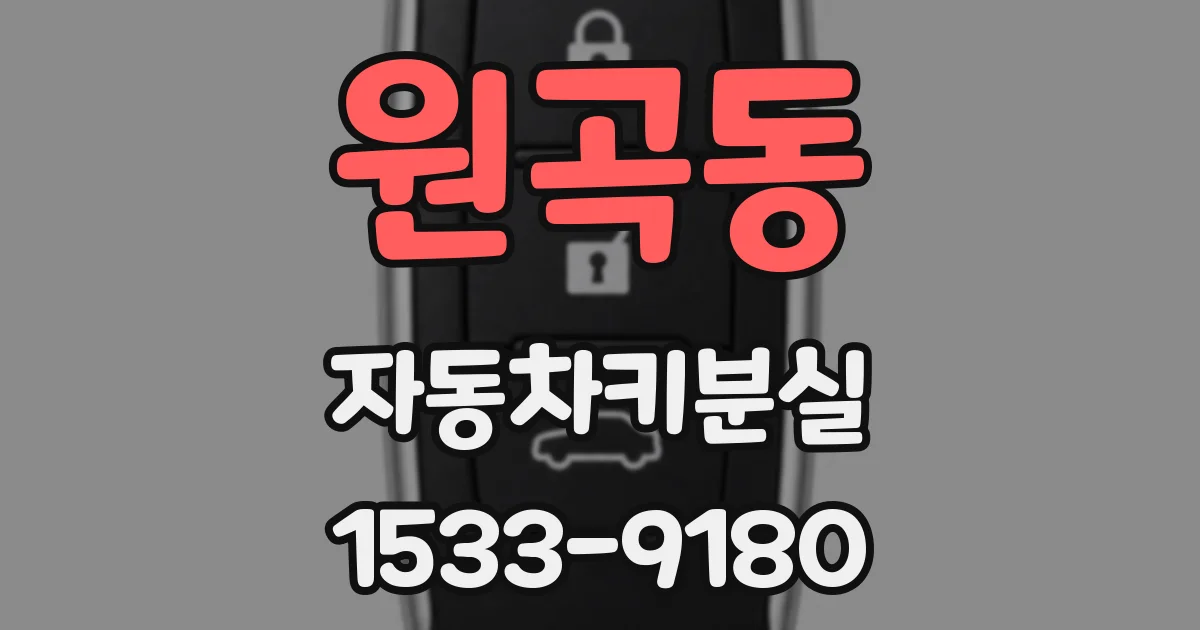 원곡동 자동차키분실