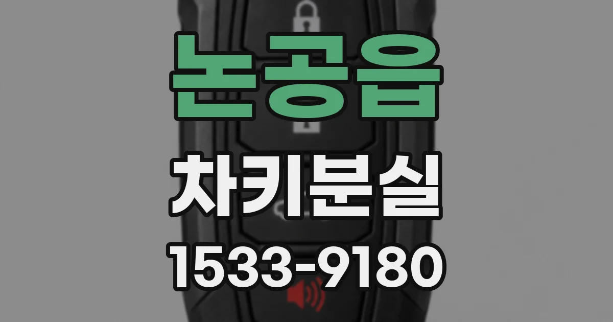 논공읍 차키분실