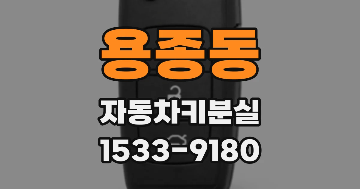 용종동 자동차키분실