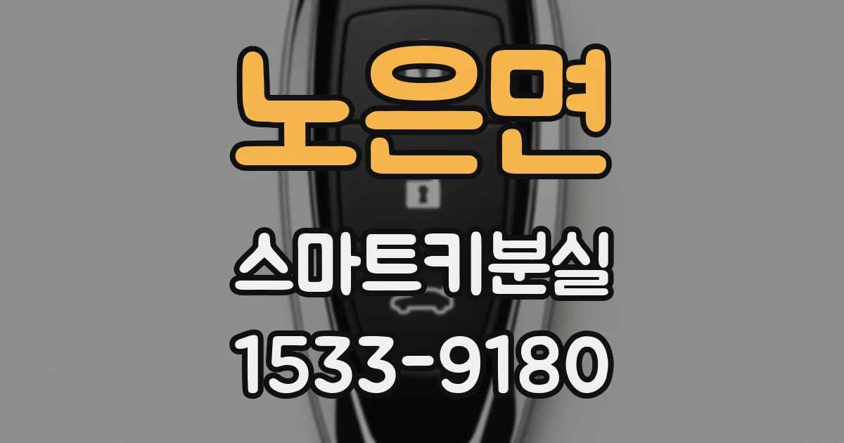 노은면 스마트키분실