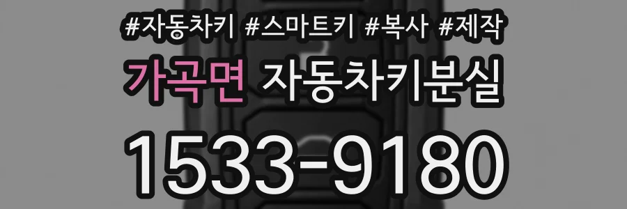 가곡면 자동차키분실