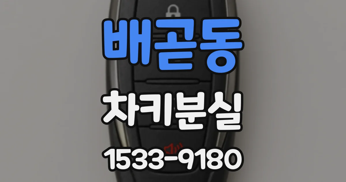 배곧동 차키분실