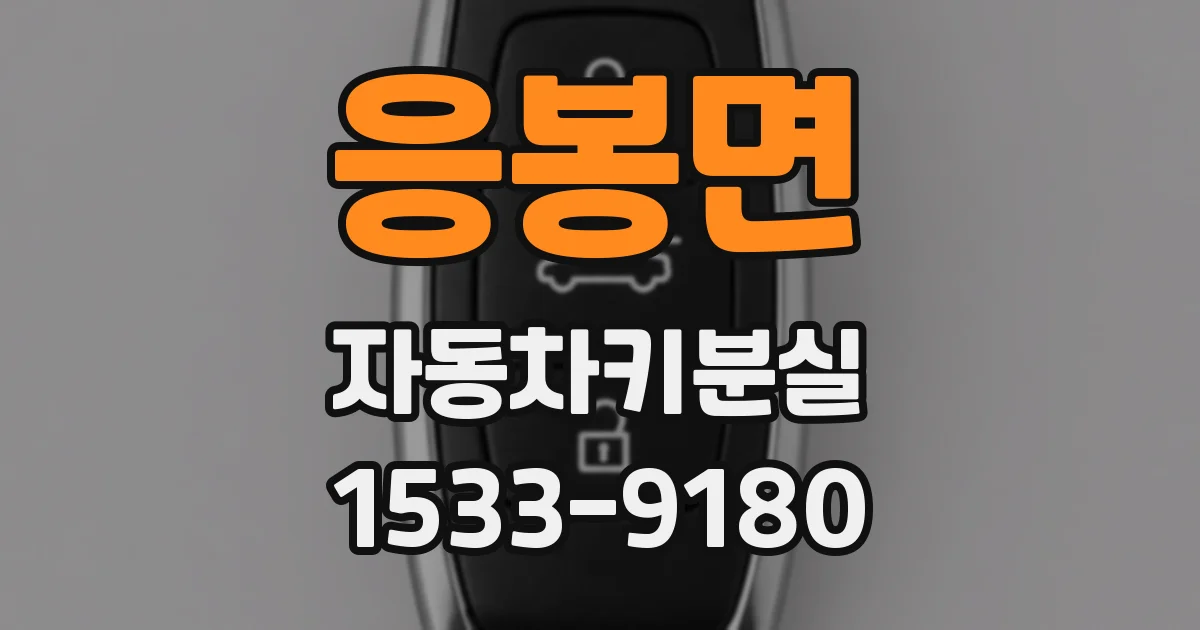 응봉면 자동차키분실