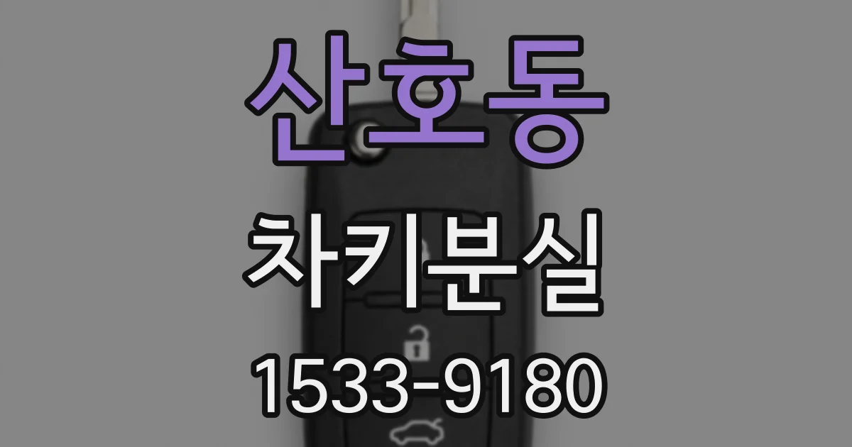 산호동 차키분실