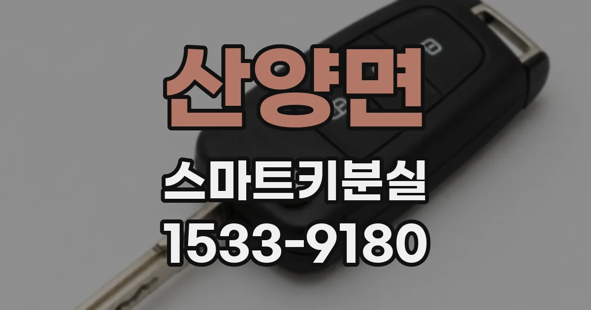 산양면 스마트키분실