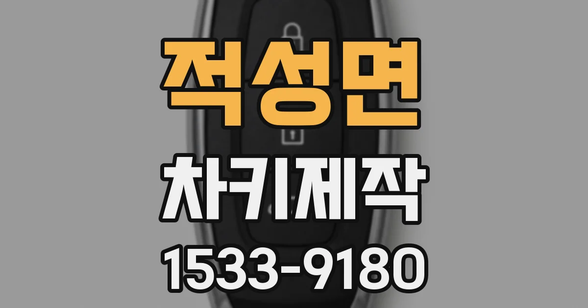 적성면 차키제작