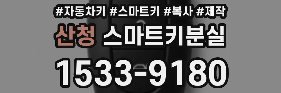 산청 스마트키분실