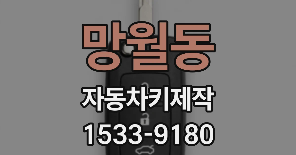 망월동 자동차키제작