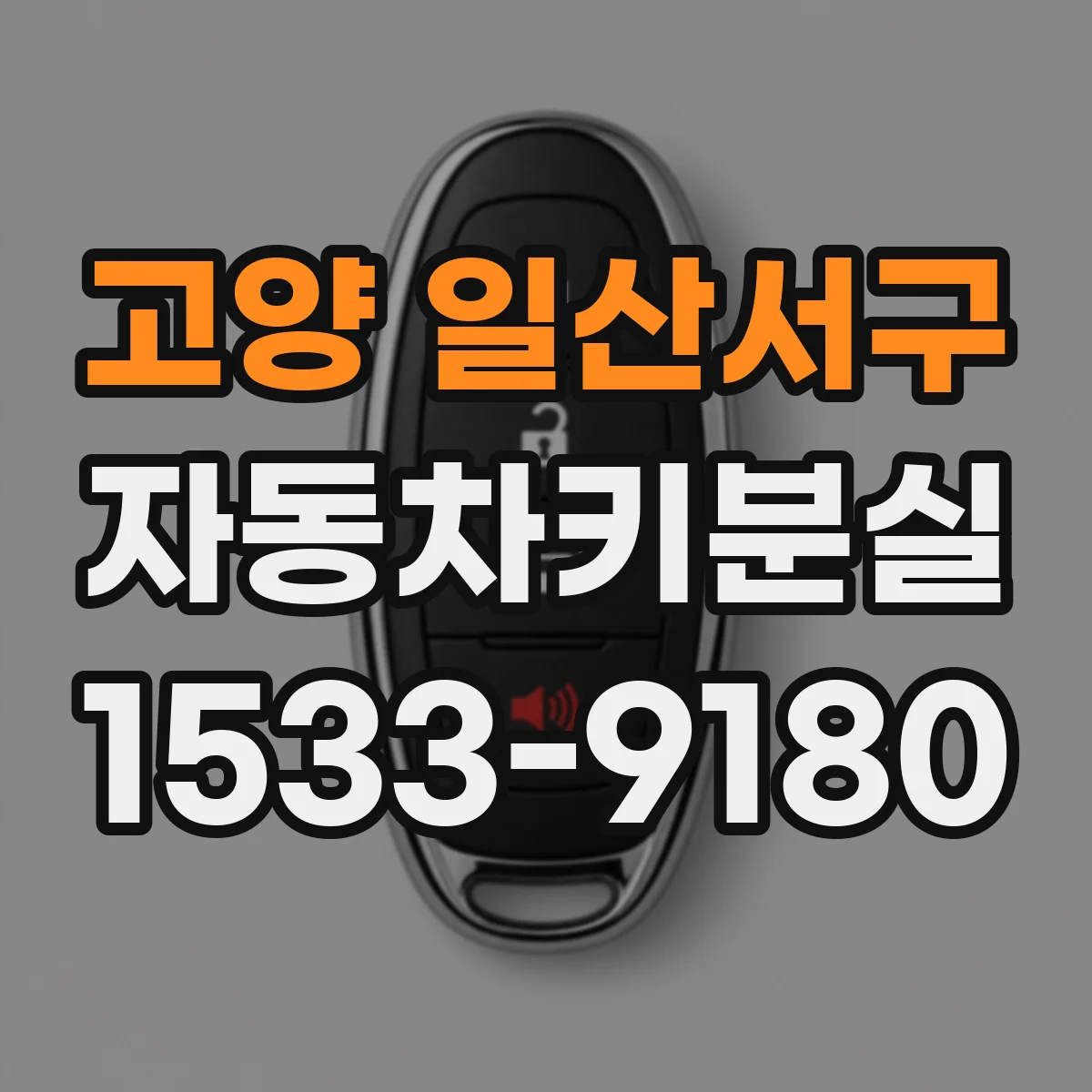 고양 일산서구 자동차키분실