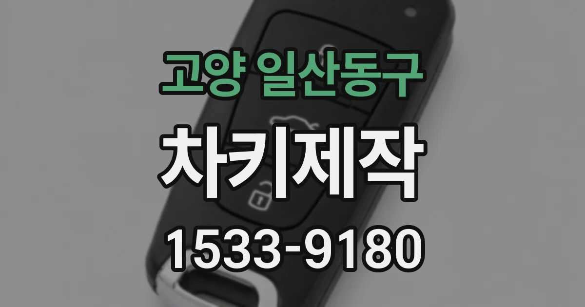 고양 일산동구 차키제작