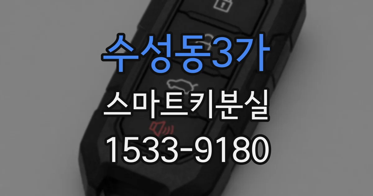 수성동3가 스마트키분실