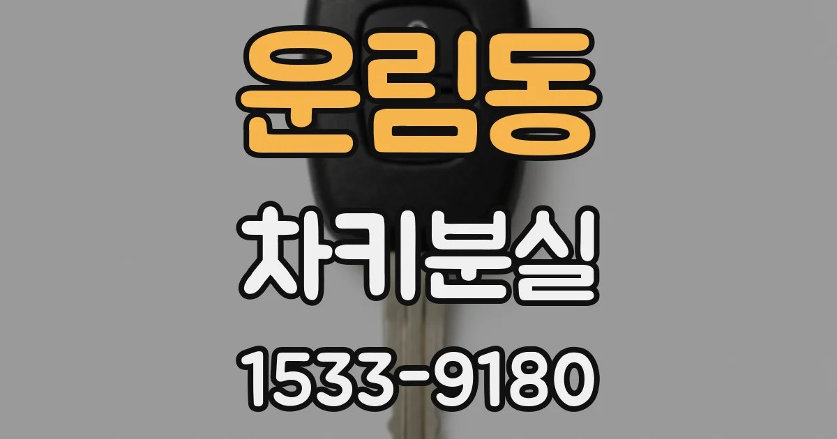 운림동 차키분실