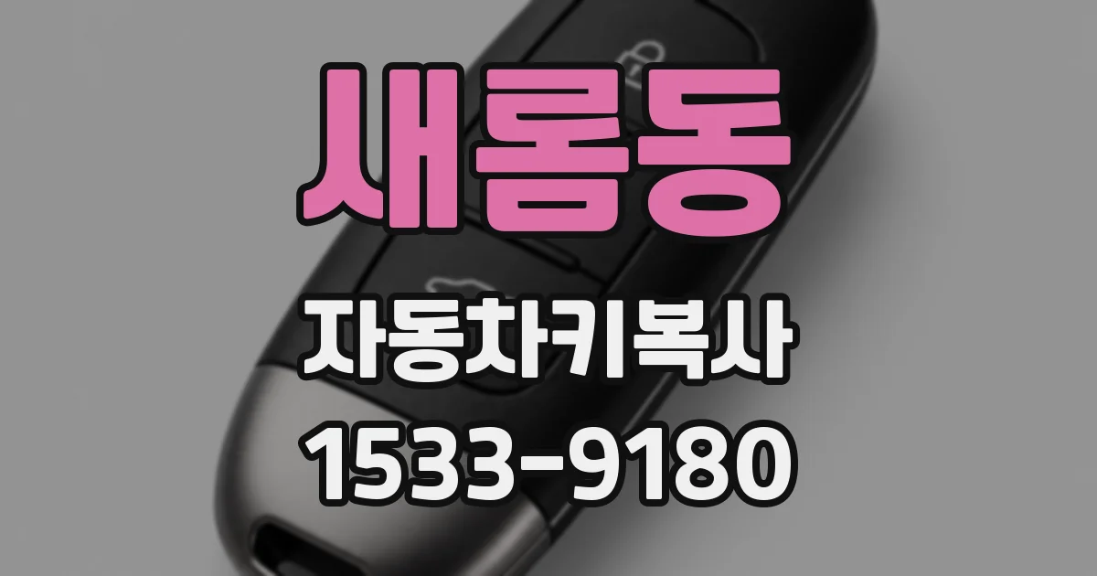 새롬동 자동차키복사