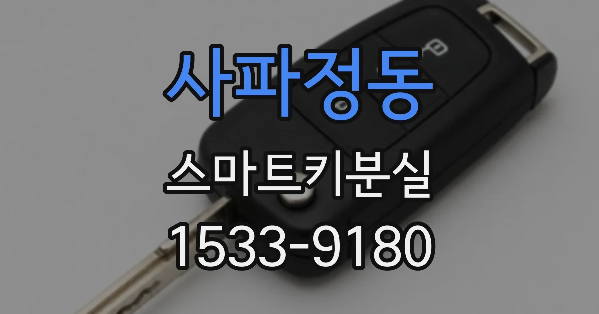 사파정동 스마트키분실