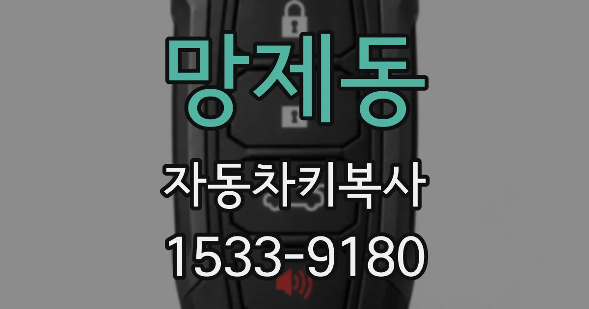 망제동 자동차키복사